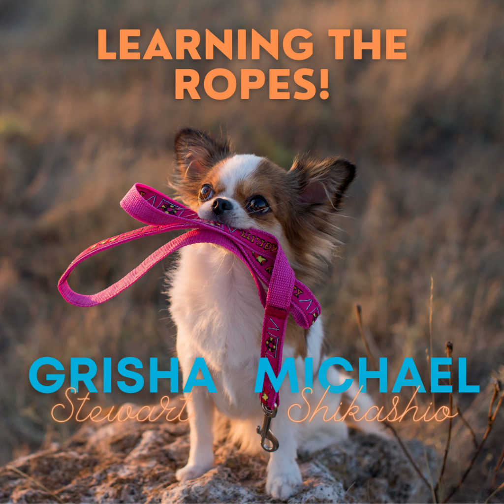 Dog Aggression Training On-Demand | Expand Your Knowledge