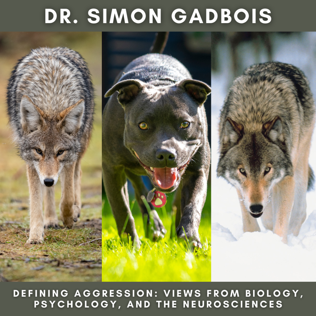 Dog Aggression Training On-Demand | Expand Your Knowledge